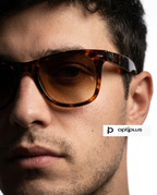 Ray-Ban Wayfarer Écaille Marron