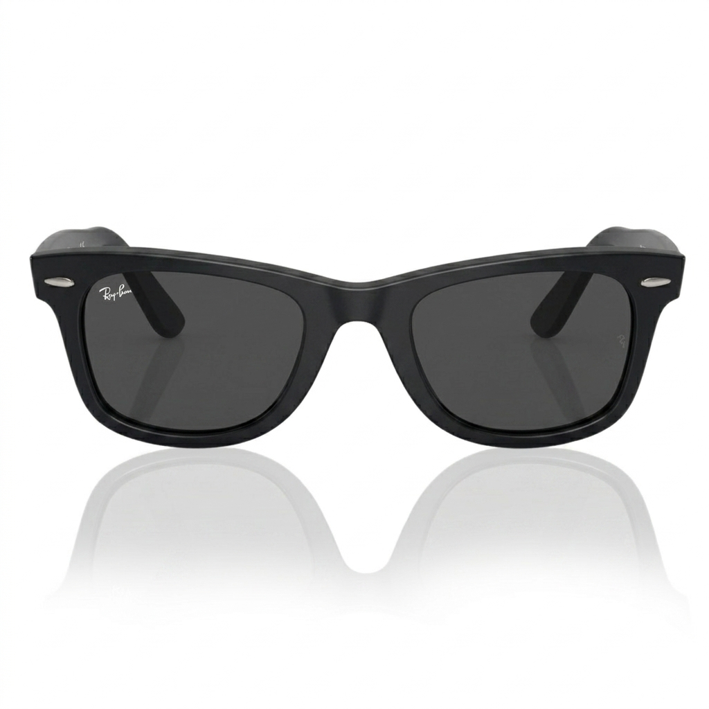 WAYFARER BLACK + BROWN